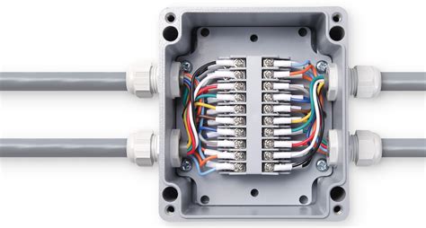 electrical junction box terminals